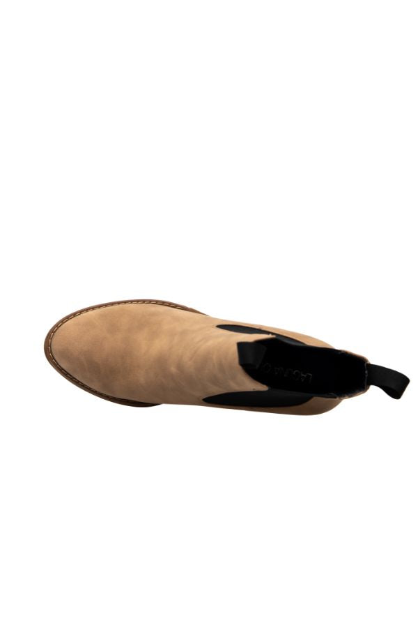 CLEO TAUPE