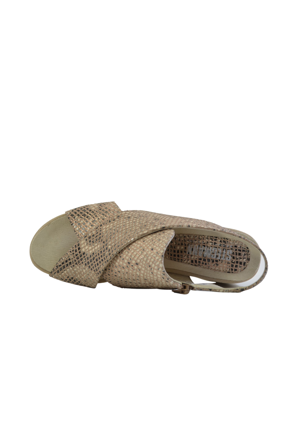 ENAMOUR TAUPE REPTILE