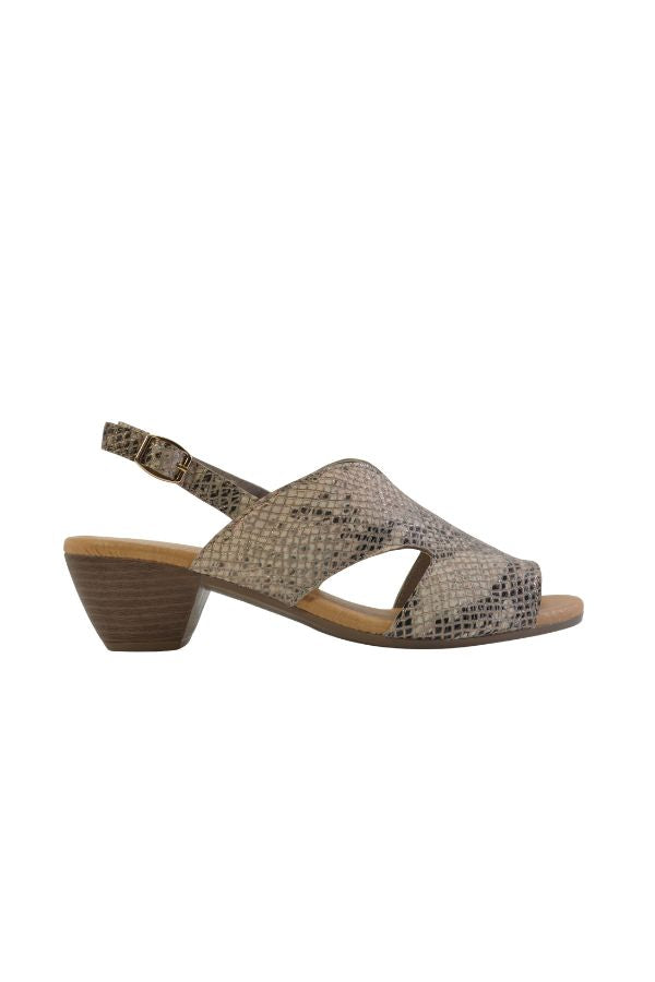 OCEAN TAUPE REPTILE PRINT